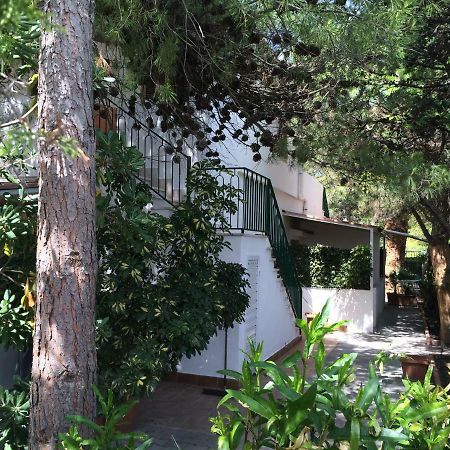 Villa Irene Vieste Ngoại thất bức ảnh